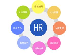 行政管理、人力資源管理、工商企業管理 企業管理三大領域的比較與選擇